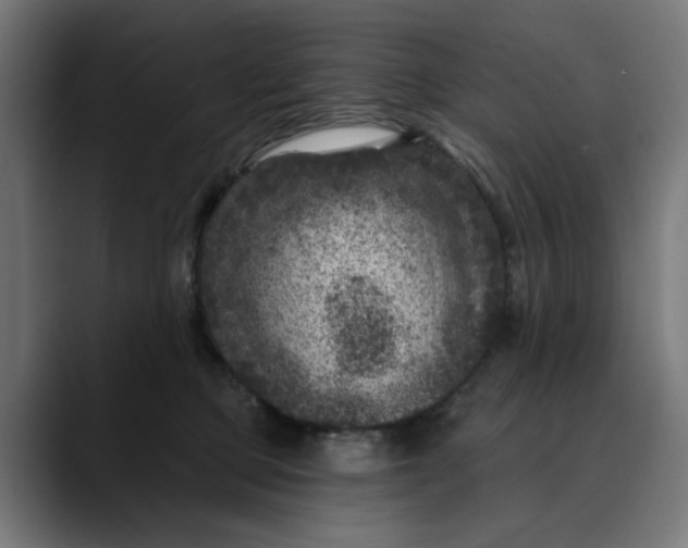 X0000089700373200707121358