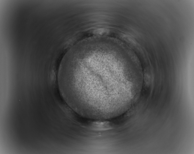 X0000089700375200707121358