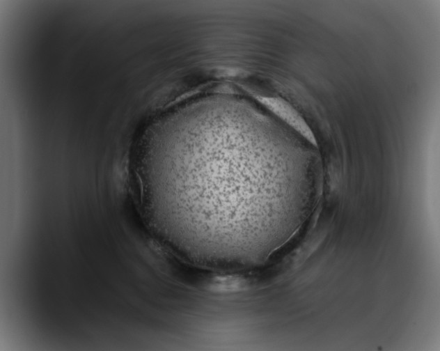 X0000089700376200707121358