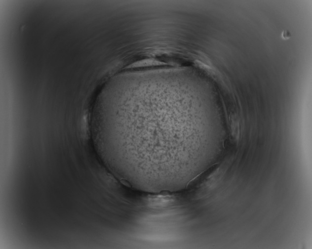 X0000089700378200707121358