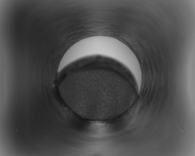 X0000089700380200707121358