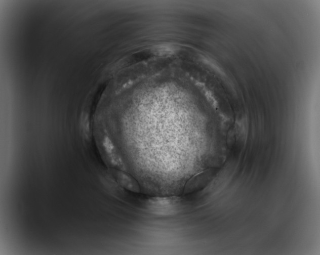 X0000089700381200707121358