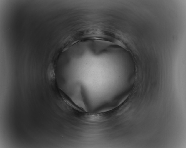 X0000089700384200707121358