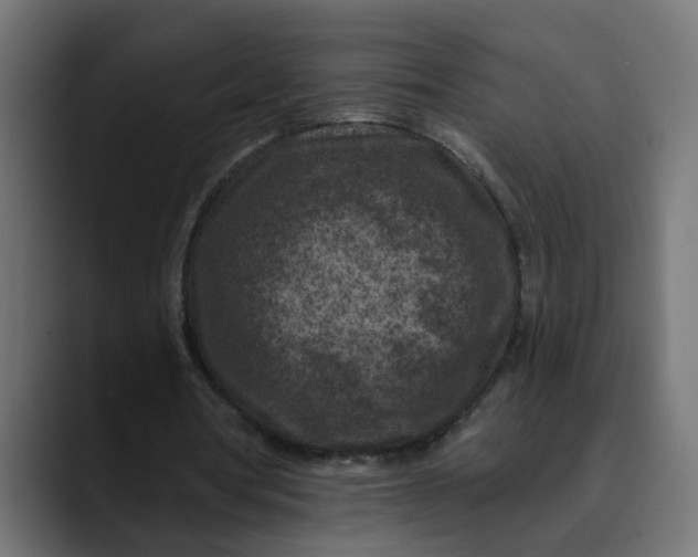 X0000089700386200707121358