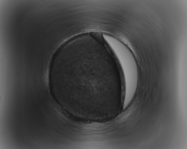 X0000089700387200707121358