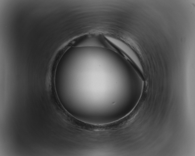 X0000089700388200707121358