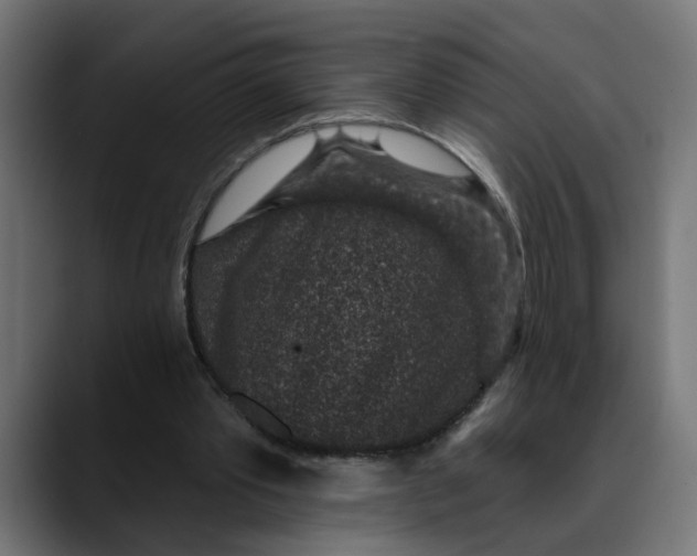 X0000089700389200707121358