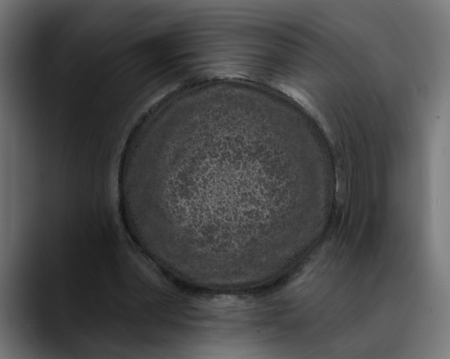 X0000089700390200707121358