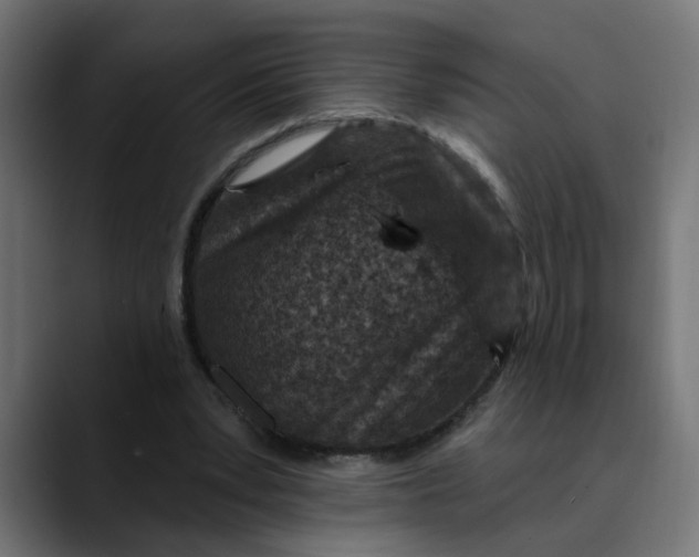 X0000089700391200707121358