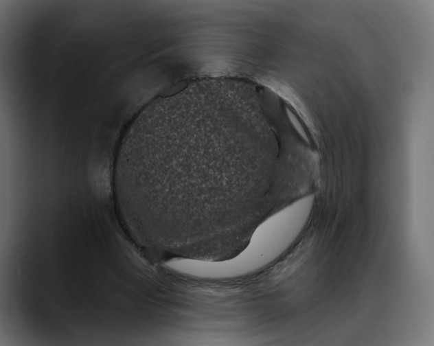 X0000089700393200707121358