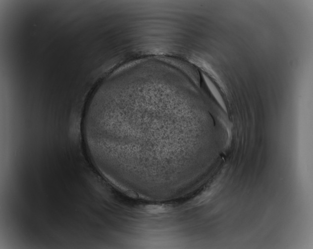 X0000089700394200707121358