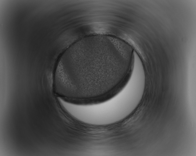 X0000089700397200707121358