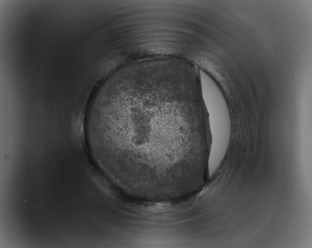 X0000089700398200707121358