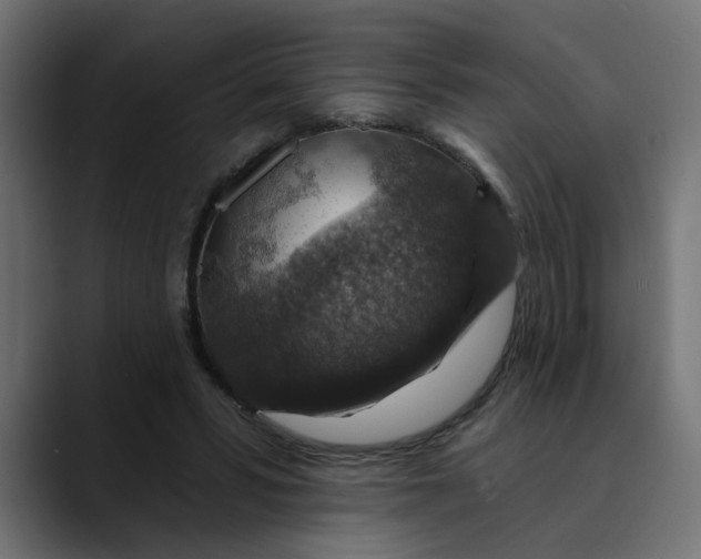 X0000089700399200707121358