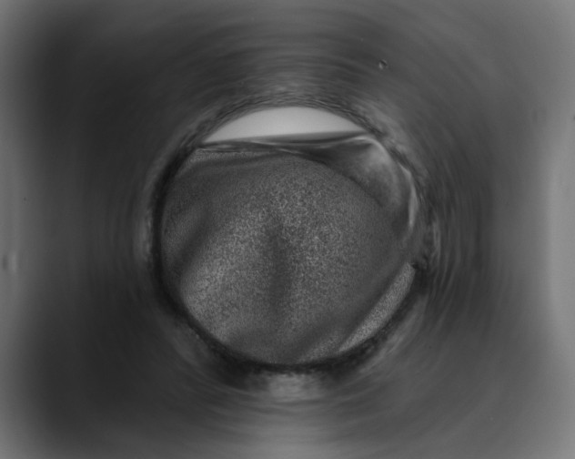 X0000089700400200707121358