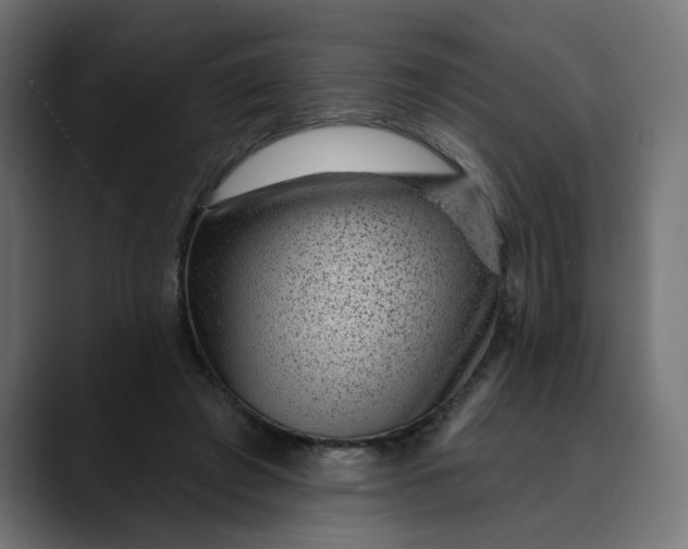 X0000089700401200707121358