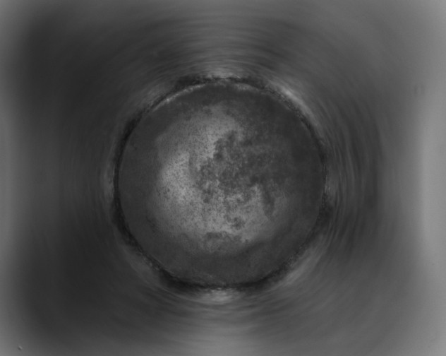 X0000089700402200707121358