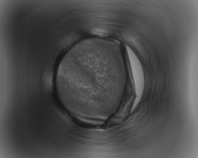 X0000089700404200707121358