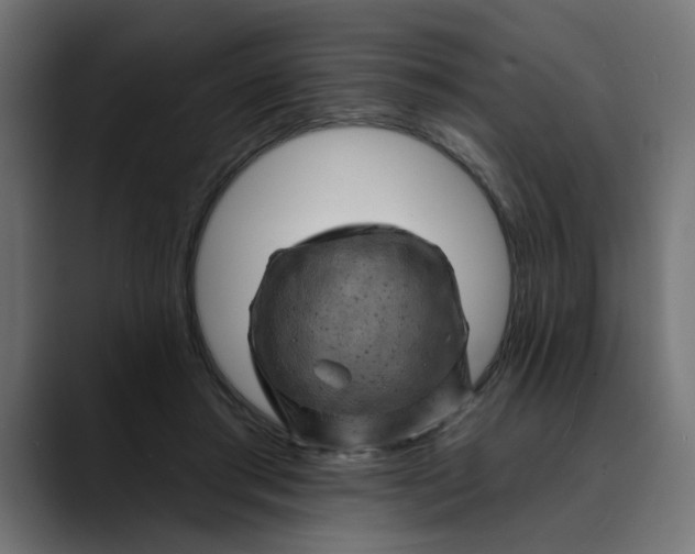 X0000089700405200707121358