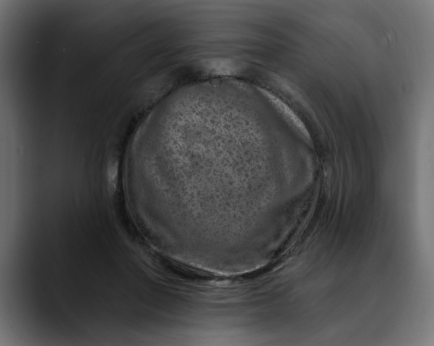 X0000089700406200707121358