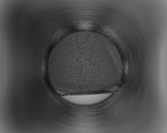 X0000089700408200707121358