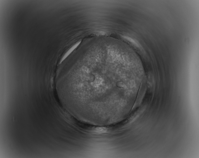 X0000089700409200707121358