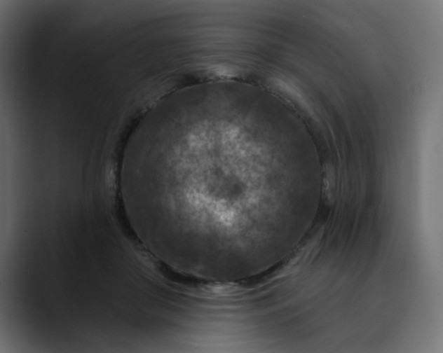 X0000089700410200707121358