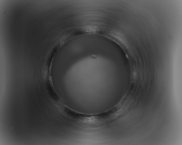 X0000089700411200707121358