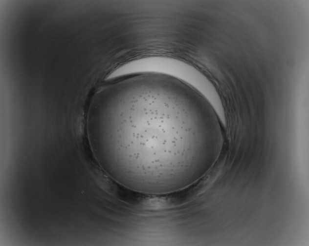 X0000089700413200707121358