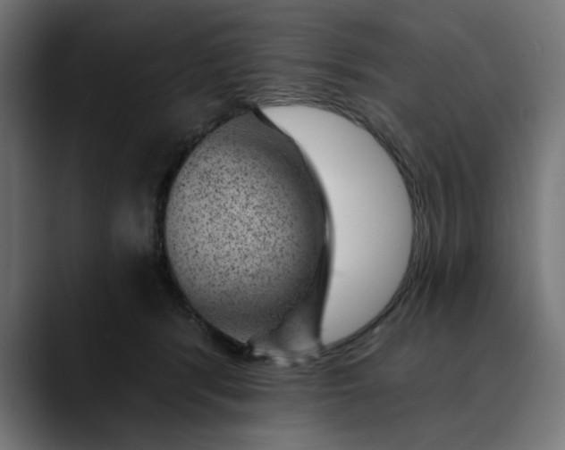 X0000089700416200707121358