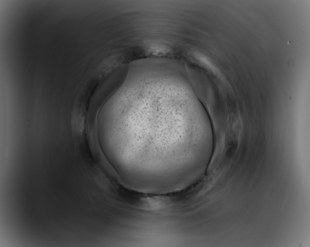 X0000089700417200707121358