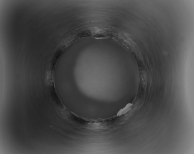 X0000089700419200707121357