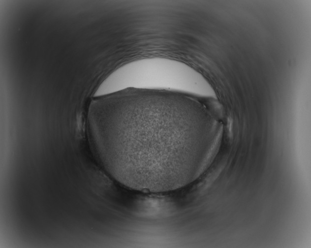 X0000089700420200707121357