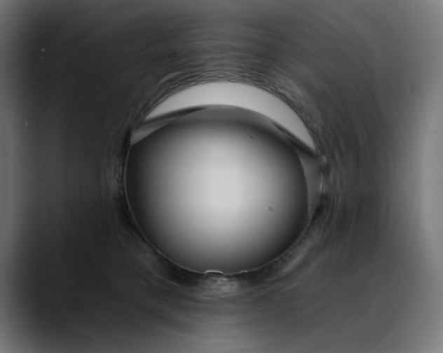 X0000089700421200707121357