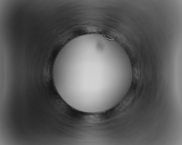 X0000089700422200707121357