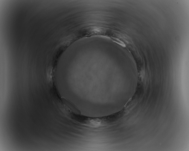 X0000089700423200707121357