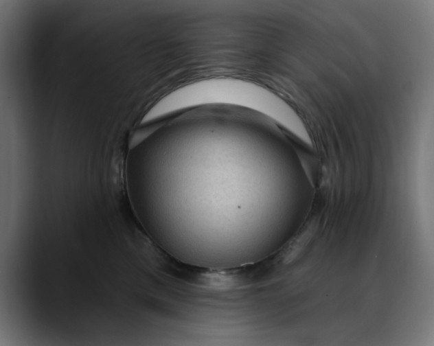 X0000089700425200707121357