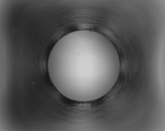 X0000089700426200707121357