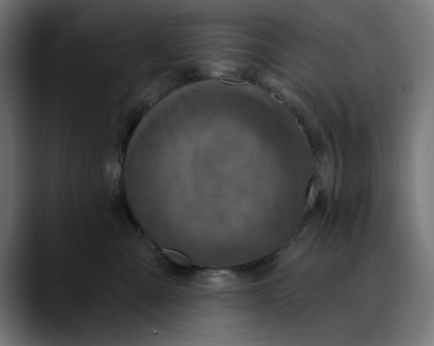 X0000089700427200707121357