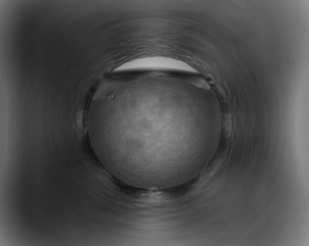 X0000089700428200707121357