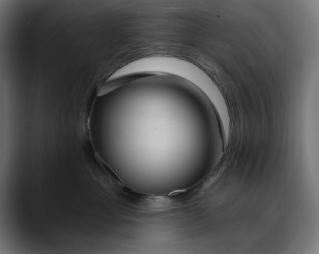 X0000089700429200707121357