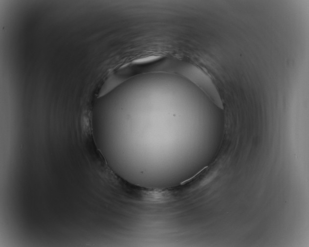 X0000089700432200707121357