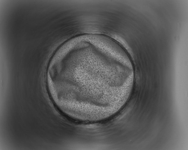 X0000089700433200707121357