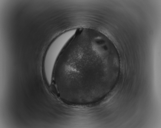 X0000089700434200707121357