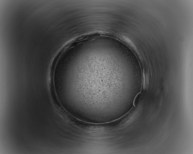 X0000089700435200707121357