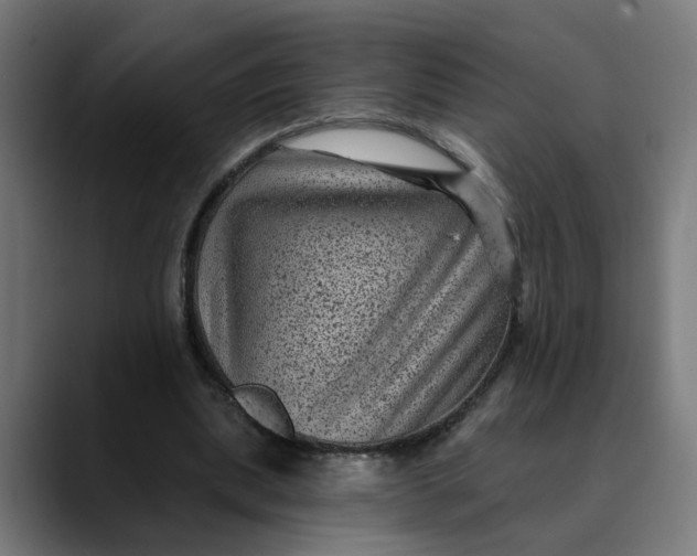 X0000089700439200707121357