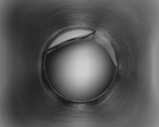 X0000089700440200707121357