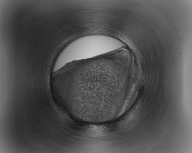 X0000089700442200707121357