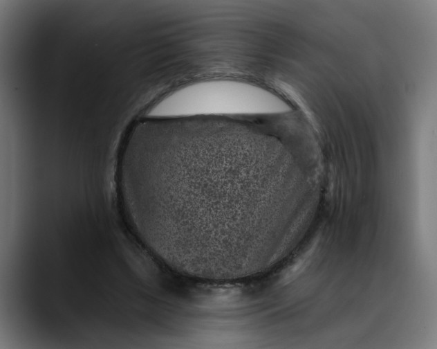 X0000089700443200707121357