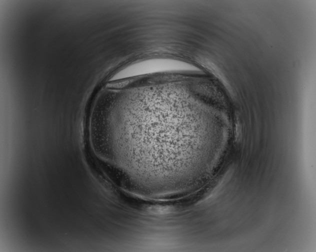 X0000089700444200707121357